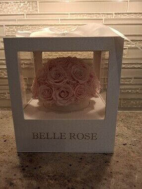 Belle Rose In Boxed Vase